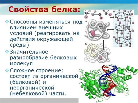 Белок Оптипро: ключевые свойства