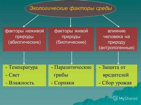 Биологические факторы и питание