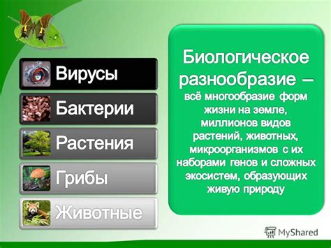 Биологическое разнообразие и научные исследования