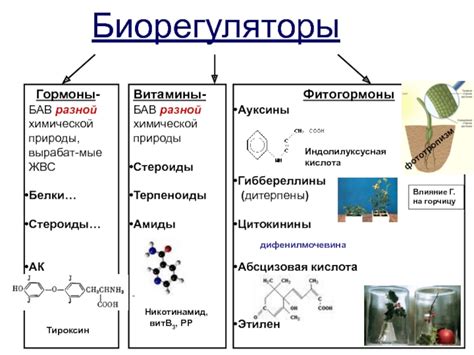 Биорегуляторы природы