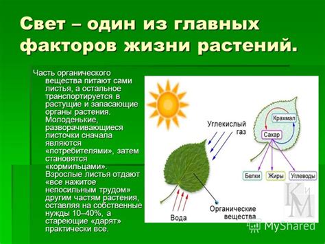 Благоприятное внешнее воздействие