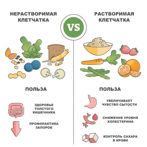 Богатство клетчатки