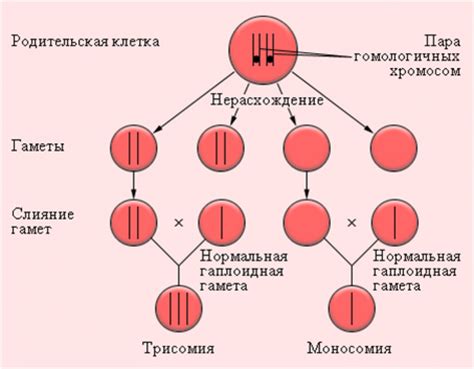 Болезни и патологии