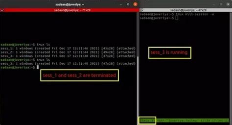 Бонус: быстрая очистка tmux с помощью скрипта