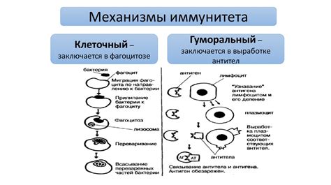 Борьба с инфекцией вызванной бактериями: роль закиси азота