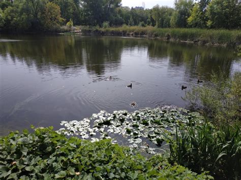 Ботанический сад в Самаре