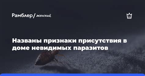 Бытовые признаки наличия аномального присутствия в домашней обстановке