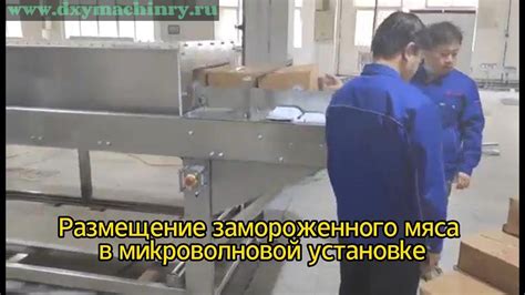 Важное звено перед приготовлением: размораживание мясных продуктов