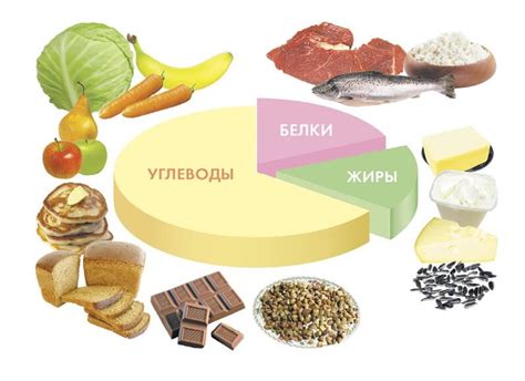 Важное питательное вещество для организма