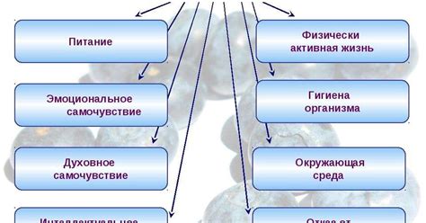 Важность витаминов и минералов для здоровья голосового аппарата