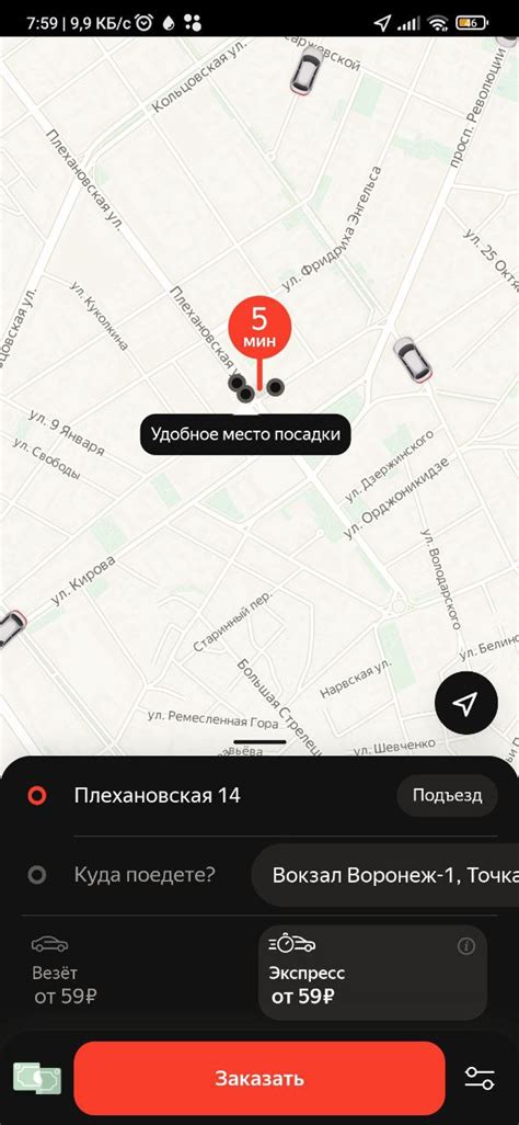 Важность выбора местоположения для садоводства