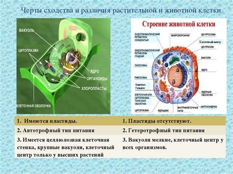 Важность запасного углевода в грибной клетке