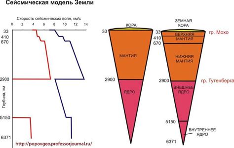 Важность изучения строения и внутреннего устройства