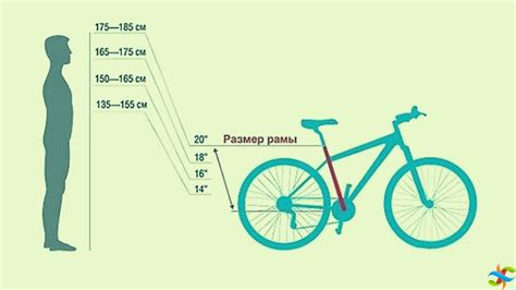 Важность правильного определения диаметра колеса