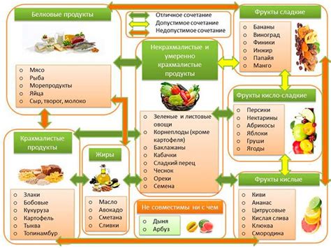 Важность правильного сочетания продуктов для здоровой диеты с учетом утки