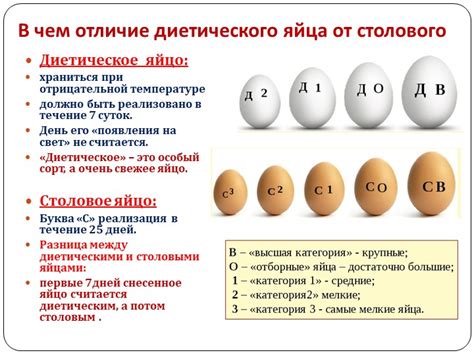 Важность пристального внимания к качеству яиц перед их использованием