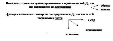 Важность сущности приспособления