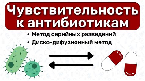 Важность учета чувствительности при выборе антибиотиков