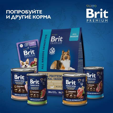 Варианты корма Brit Premium для собак в зависимости от возрастной группы