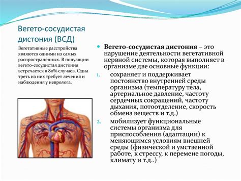 Вегето-сосудистая дистония