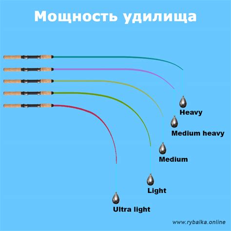 Вес и мощность удилища: выбор между матчевым и болонским