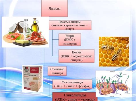 Вещества, входящие в состав разрыхлителя