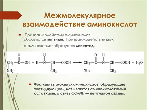 Взаимодействие аминокислот при формировании структуры