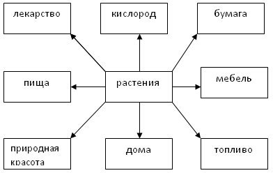 Взаимодействие веры и уважения к животному