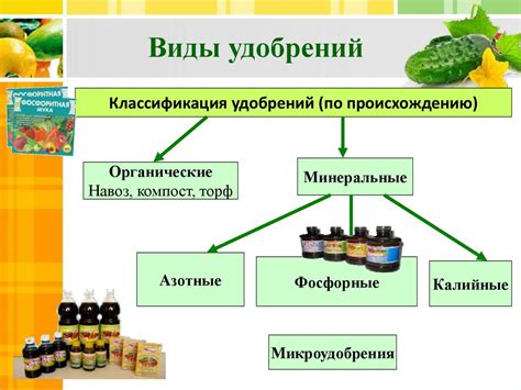 Взаимодействие ежевики и яблони: влияние соседства на рост и развитие