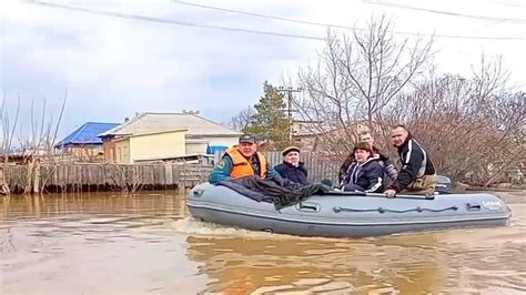 Взаимодействие жителей и их права при наличии питомцев в зоне общего пространства