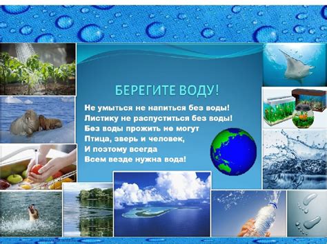 Взаимодействие морских водорослей с качеством и составом водных ресурсов