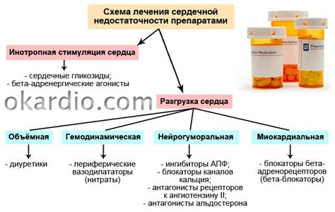 Взаимодействие чеснока с другими препаратами для лечения сердечной недостаточности