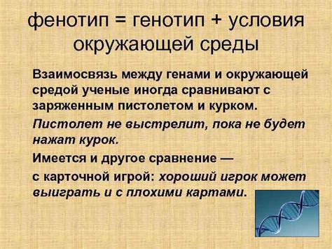 Взаимосвязь между генетикой и окружающей средой в формировании цвета волос у детей