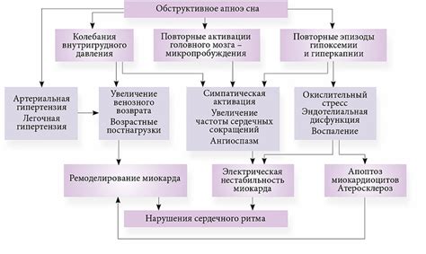 Взаимосвязь между голодом и сердечно-сосудистой системой