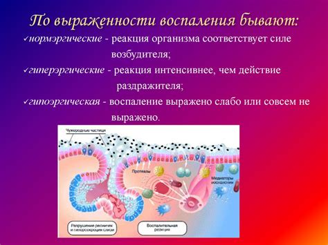 Взаимосвязь между процессом воспаления и появлением двух покрасневших линий на тесте