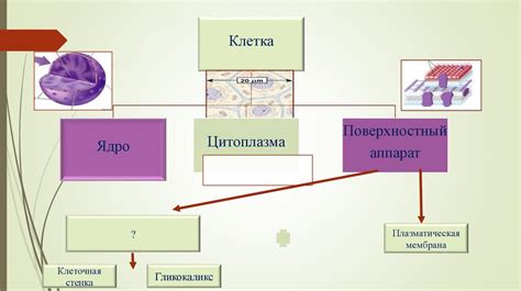 Взаимосвязь между структурой команды и эффективностью игрового процесса