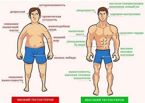 Взаимосвязь размера ноги и уровня тестостерона у мужчин