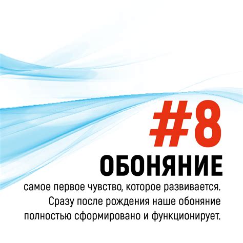 Взгляд исламских источников на заботу о носе