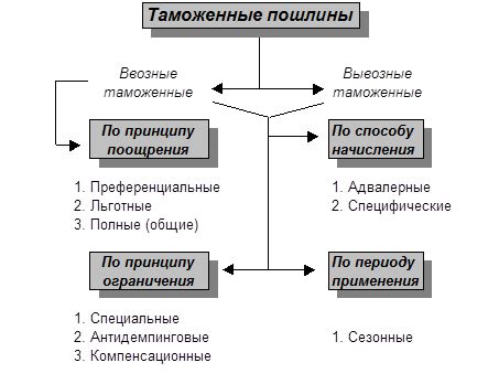 Виды госпошлины и таможенной пошлины: классификация