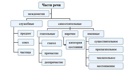 Виды и классификация частей речи в школьной программе