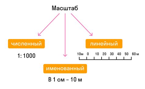 Виды масштаба в общественных науках