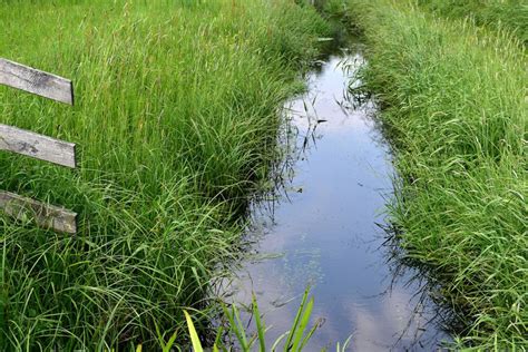 Виды отводов воды на участке с использованием дренажной канавы