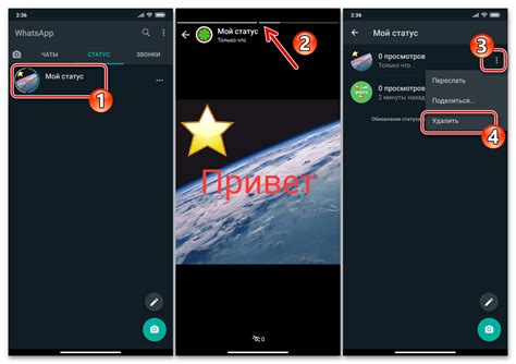 Виды статусов в WhatsApp и их отображение