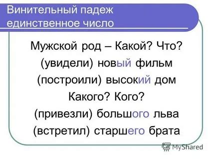 Винительный падеж мужского рода