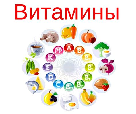 Витамины в сочетании с продуктами: основные правила