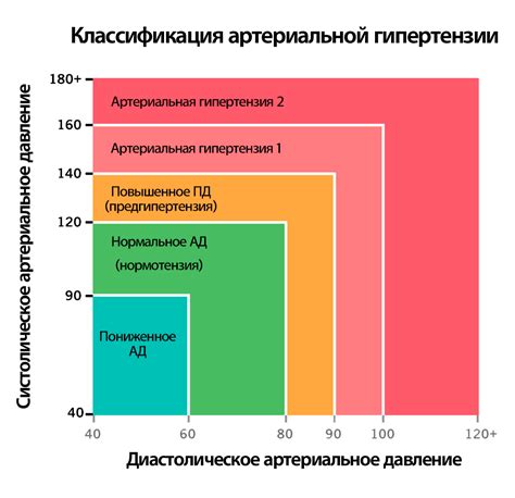 Влияние Валосердина на уровень артериального давления: объективные факты и различные точки зрения