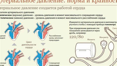 Влияние аденомы простаты на показатели артериального давления