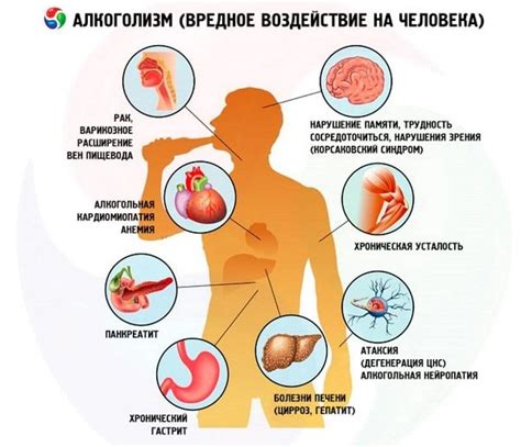 Влияние алкоголя на органы