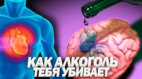 Влияние алкоголя на показатели давления