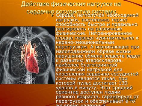 Влияние атмосферного давления на сердечно-сосудистую систему